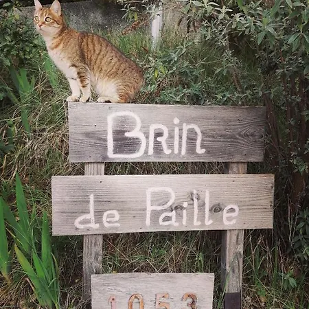 Oda ve Kahvaltı Brindepaille