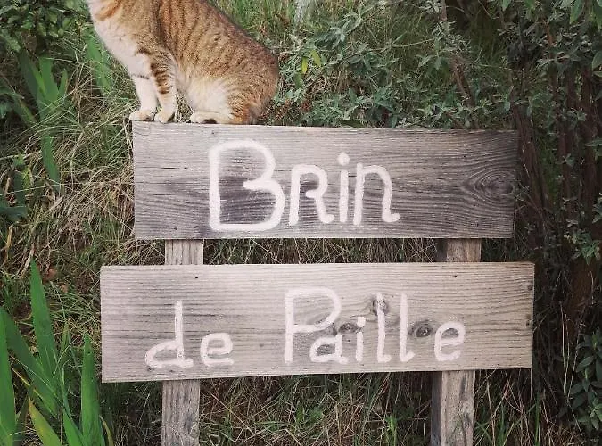 Bed and breakfast Brindepaille